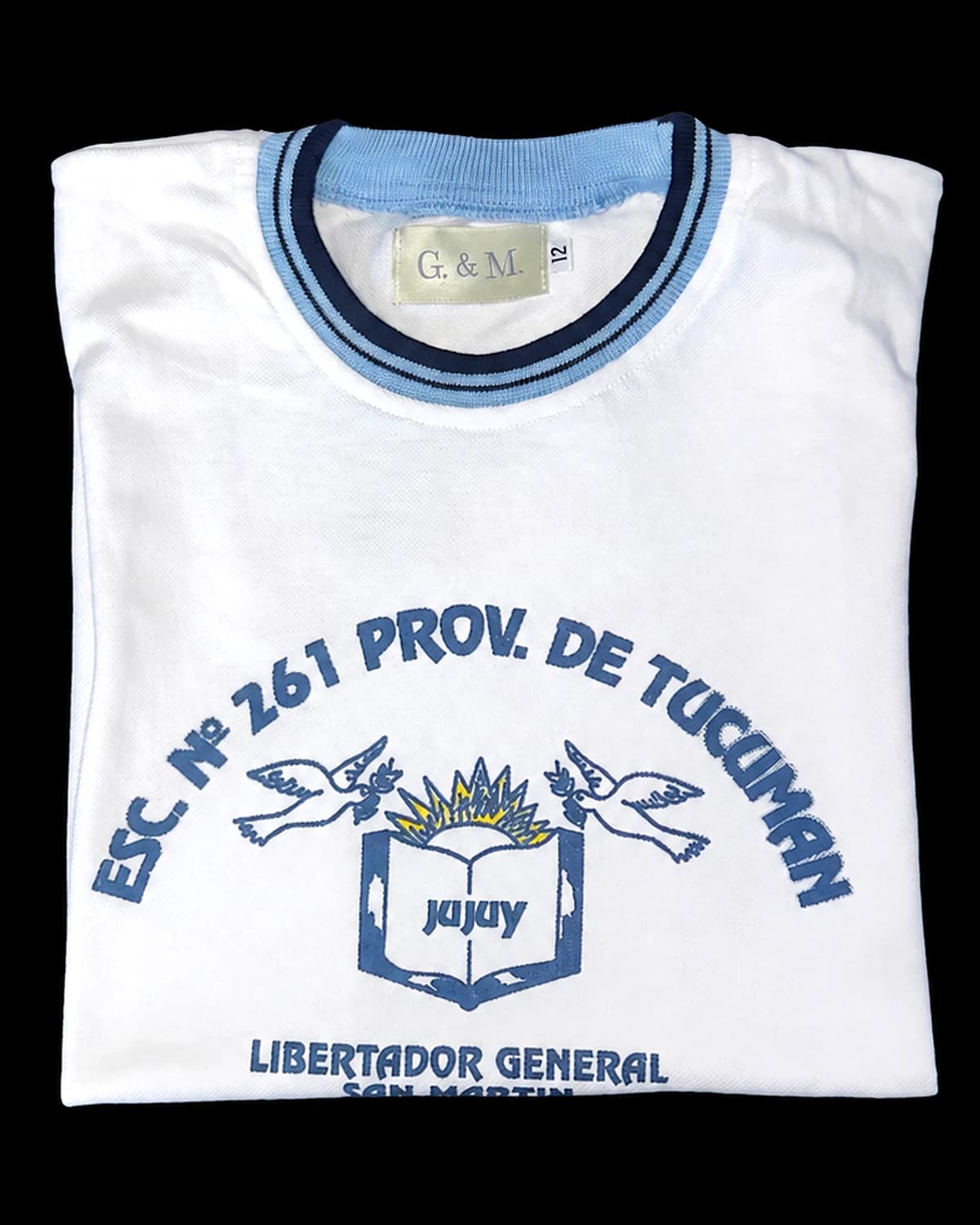 Remera de la Escuela N° 261 Provincia de Tucumán