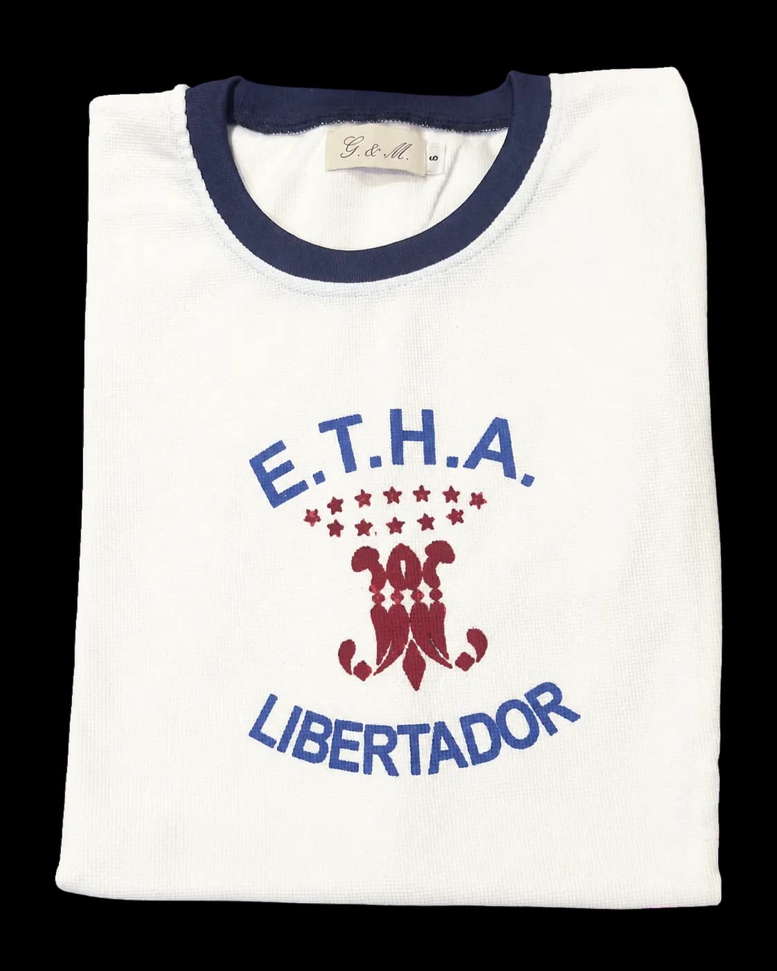 Remera escolar ETHA