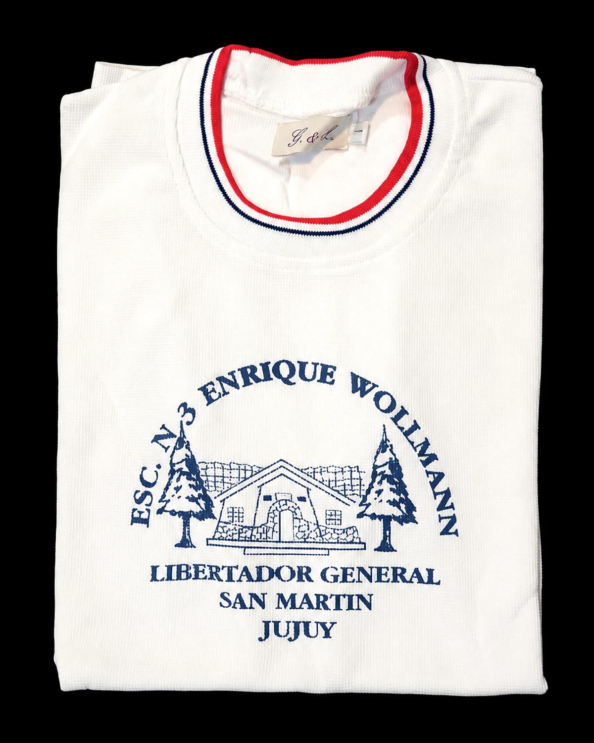 Remera completa de la Escuela Enrique Wollmann